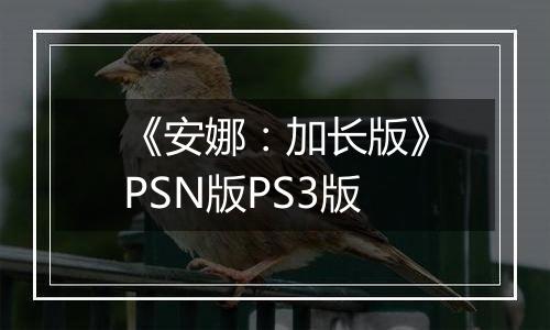 《安娜：加长版》PSN版PS3版
