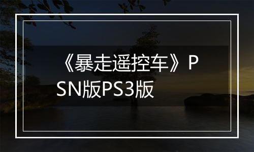 《暴走遥控车》PSN版PS3版