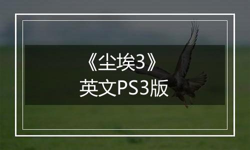 《尘埃3》 英文PS3版