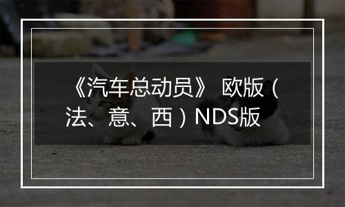 《汽车总动员》 欧版（法、意、西）NDS版