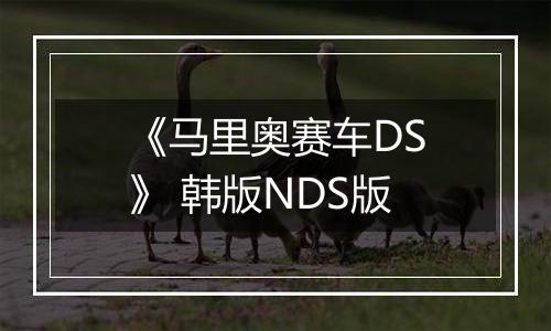 《马里奥赛车DS》 韩版NDS版