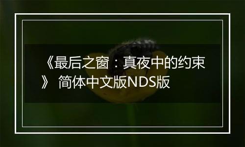 《最后之窗：真夜中的约束》 简体中文版NDS版