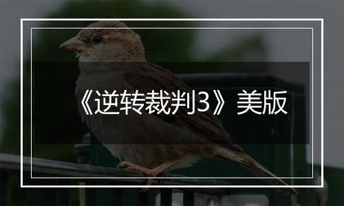 《逆转裁判3》美版