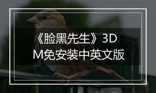 《脸黑先生》3DM免安装中英文版