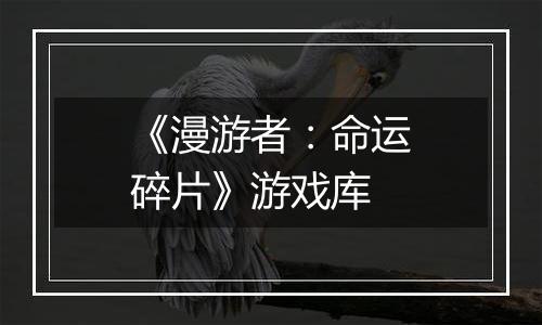 《漫游者：命运碎片》游戏库