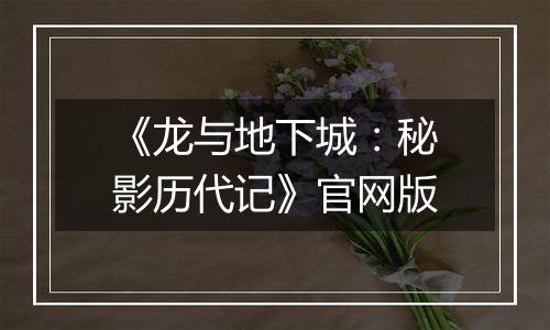 《龙与地下城：秘影历代记》官网版
