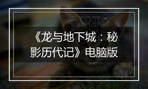 《龙与地下城：秘影历代记》电脑版