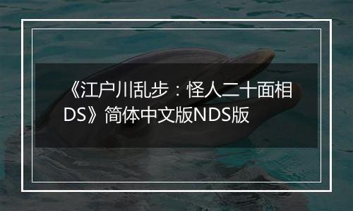 《江户川乱步：怪人二十面相DS》简体中文版NDS版