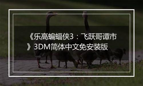《乐高蝙蝠侠3：飞跃哥谭市》3DM简体中文免安装版