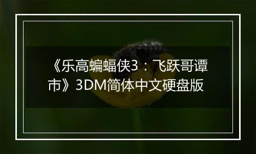 《乐高蝙蝠侠3：飞跃哥谭市》3DM简体中文硬盘版