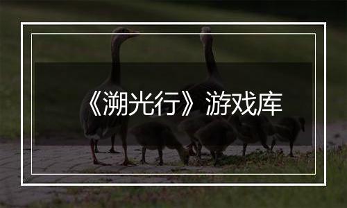 《溯光行》游戏库