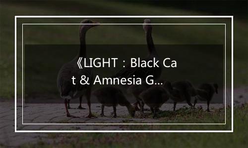 《LIGHT：Black Cat & Amnesia Girl》游戏库