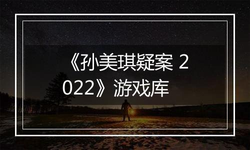 《孙美琪疑案 2022》游戏库