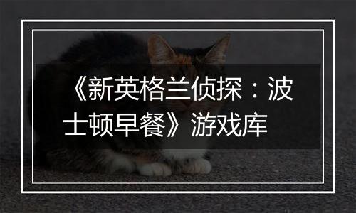 《新英格兰侦探：波士顿早餐》游戏库