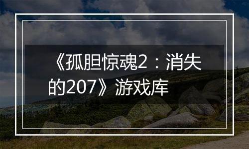 《孤胆惊魂2：消失的207》游戏库