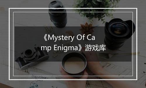 《Mystery Of Camp Enigma》游戏库