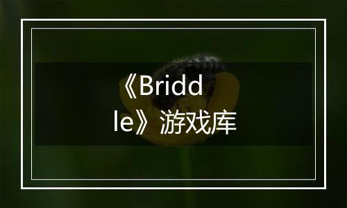 《Briddle》游戏库