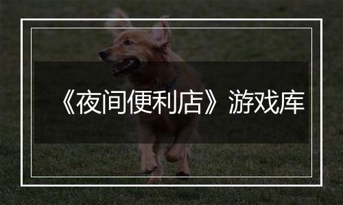 《夜间便利店》游戏库
