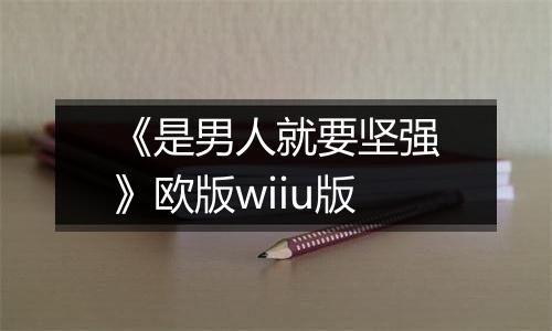 《是男人就要坚强》欧版wiiu版