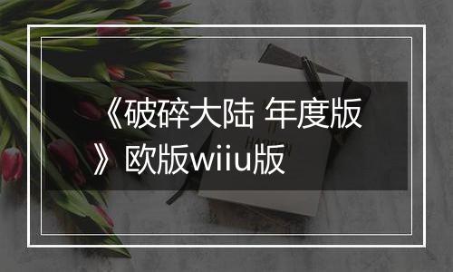 《破碎大陆 年度版》欧版wiiu版