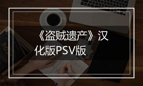 《盗贼遗产》汉化版PSV版