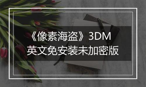 《像素海盗》3DM英文免安装未加密版