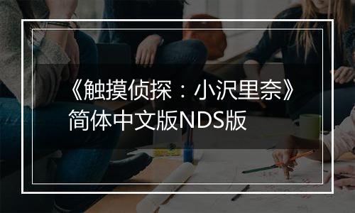 《触摸侦探:小沢里奈》 简体中文版NDS版
