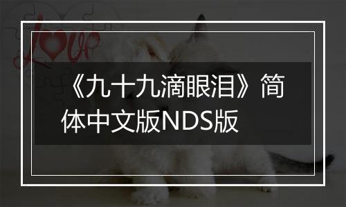 《九十九滴眼泪》简体中文版NDS版