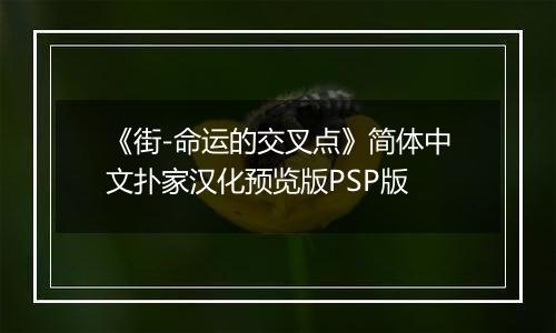 《街-命运的交叉点》简体中文扑家汉化预览版PSP版