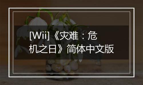 [Wii]《灾难：危机之日》简体中文版