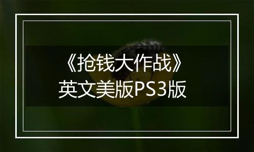 《抢钱大作战》 英文美版PS3版