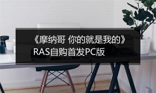 《摩纳哥 你的就是我的》 RAS自购首发PC版