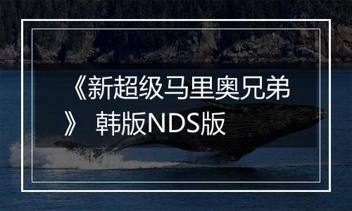 《新超级马里奥兄弟》 韩版NDS版