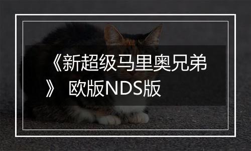 《新超级马里奥兄弟》 欧版NDS版