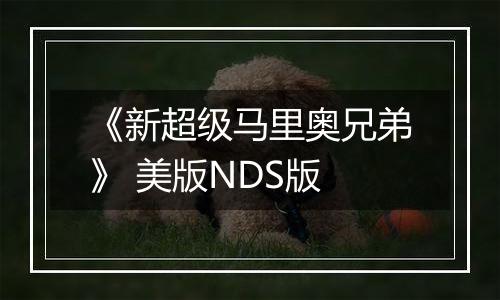 《新超级马里奥兄弟》 美版NDS版