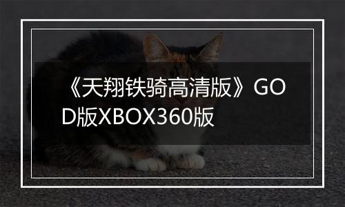 《天翔铁骑高清版》GOD版XBOX360版