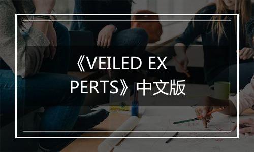 《VEILED EXPERTS》中文版