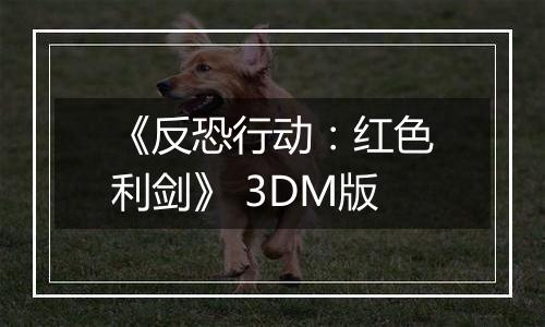 《反恐行动：红色利剑》 3DM版