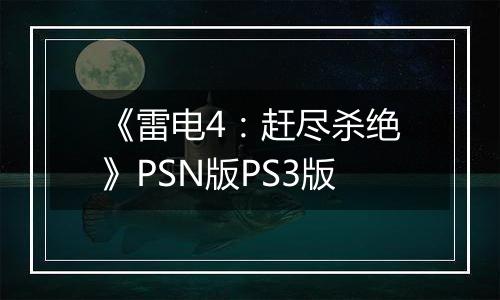 《雷电4：赶尽杀绝》PSN版PS3版