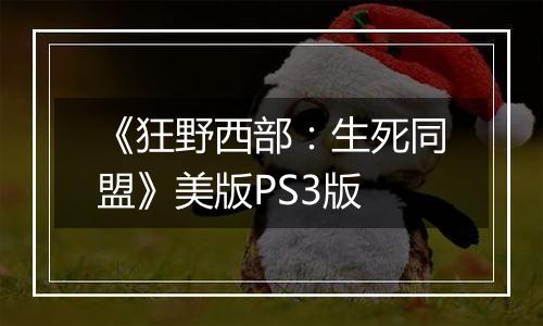 《狂野西部：生死同盟》美版PS3版