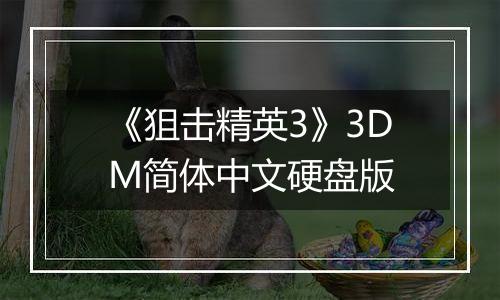 《狙击精英3》3DM简体中文硬盘版