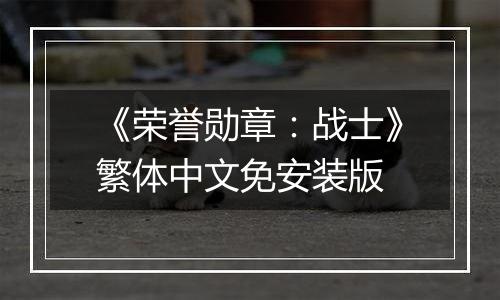《荣誉勋章：战士》繁体中文免安装版