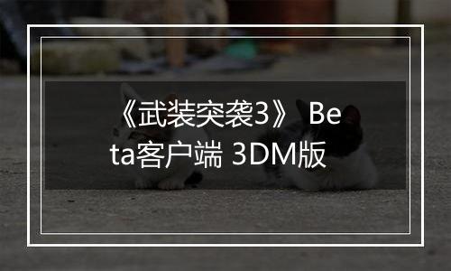 《武装突袭3》 Beta客户端 3DM版