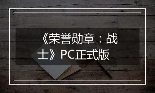 《荣誉勋章：战士》PC正式版