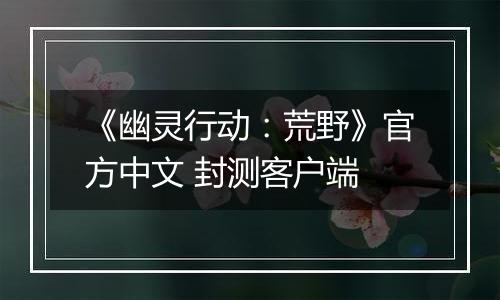 《幽灵行动：荒野》官方中文 封测客户端