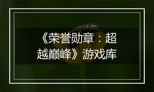 《荣誉勋章：超越巅峰》游戏库
