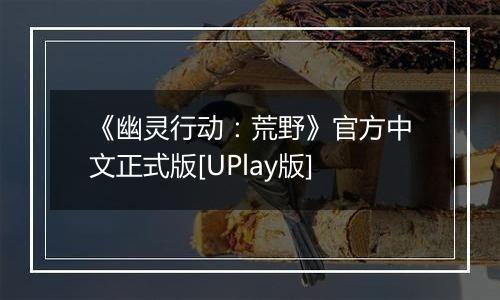 《幽灵行动：荒野》官方中文正式版[UPlay版]