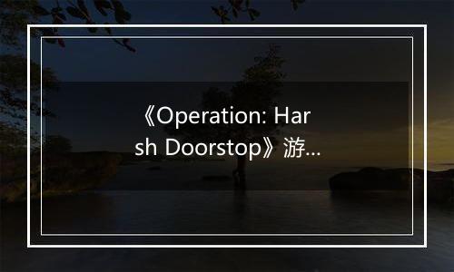 《Operation: Harsh Doorstop》游戏库