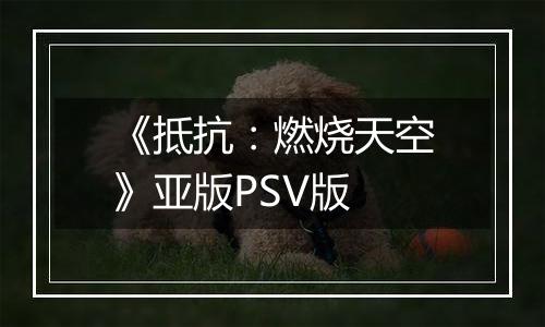 《抵抗：燃烧天空》亚版PSV版