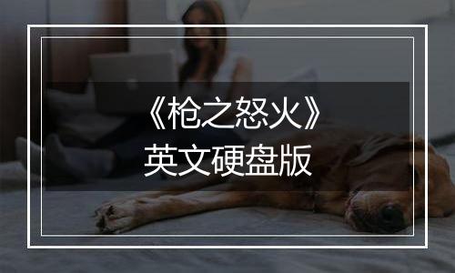 《枪之怒火》 英文硬盘版